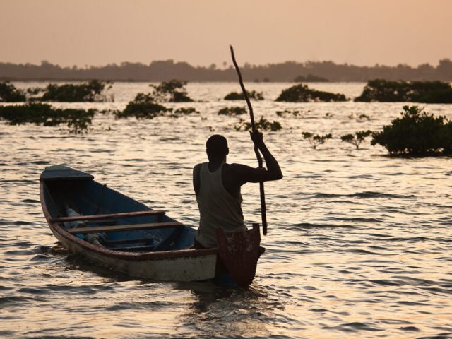 Saloum Delta National Park: the Amazon of Senegal